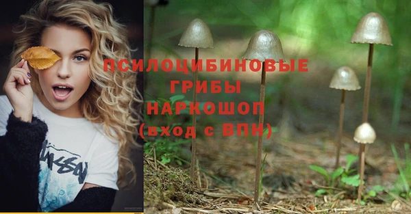 тгк Балахна