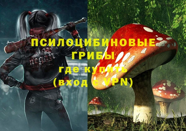 молекула духа Балабаново