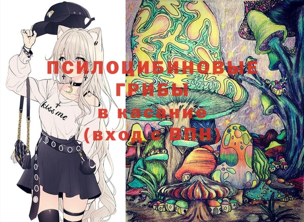 тгк Балахна